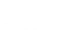 Fontys Logo